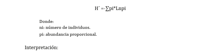 Texto

Descripción generada automáticamente con confianza media