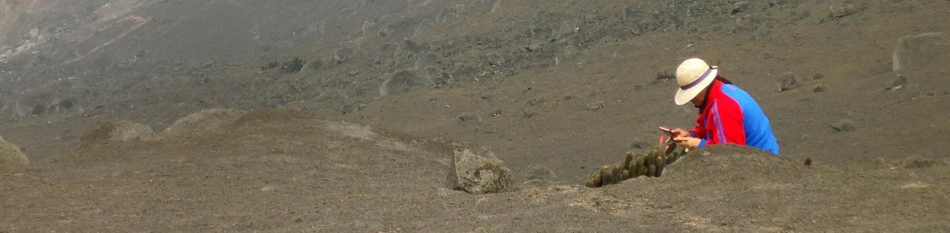 Un campo de tierra

Descripci&oacute;n generada autom&aacute;ticamente